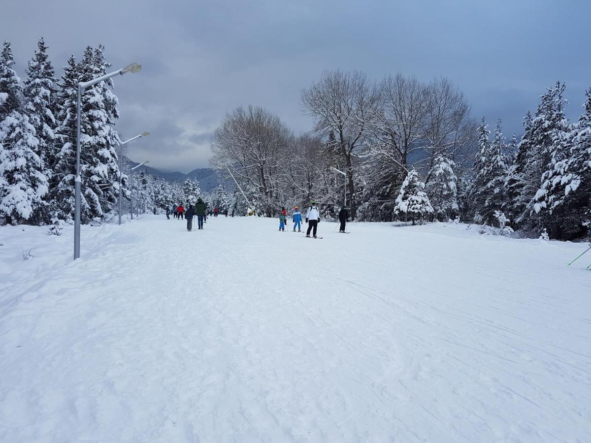Mountain View Resort - Apartment B45 بانسكو المظهر الخارجي الصورة